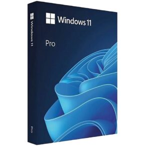 Windows 11 Pro License 1 Pc